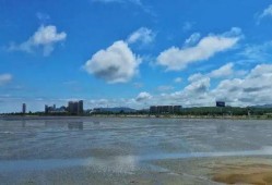 济南烟台爆料事件最新,真相追踪与网络舆论风暴