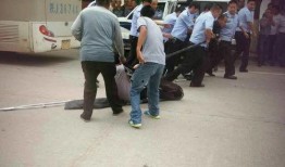 志丹最新事件大爆料,真相与幕后黑幕全解析