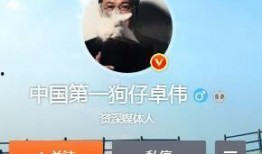 狗仔实锤爆料视频大全最新,揭秘娱乐圈幕后真相